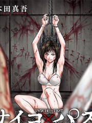 77视频热血动画铁皮骑士团